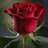 AtiqR_7