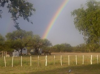 clauestapronto's profile picture. 