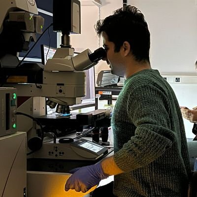 MSc Student @EPFL_en #JohannesGräff's lab
Neuroepigenetics & Genomics
