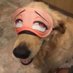 horny (@hornygoonie) Twitter profile photo horny (@hornygoonie) Twitter profile photo