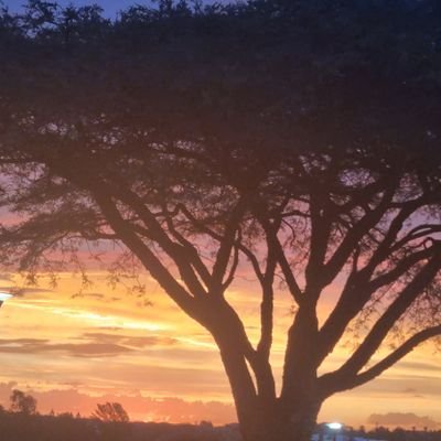 amandagibbs50's profile picture. 