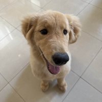 Chapow (@chapowdx) 's Twitter Profile