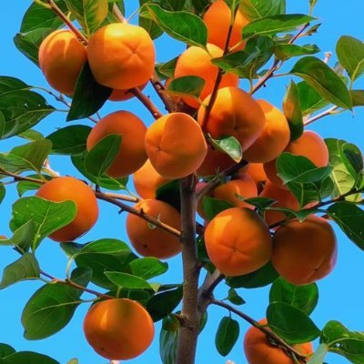 gehui191744's profile picture. .💯❤️💯❤️💯❤️💯❤️💯❤️💯❤️ Follow back 💯❤️💯 follow back ❤️💯❤️💯❤️💯❤️💯❤️💯❤️💯 follow back ❤️💯❤️💯❤️💯❤️💯❤️💯❤️💯❤️💯❤️💯❤️💯❤️💯❤️