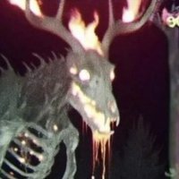 Eldritch Horror (@themyster1ous01) 's Twitter Profile Photo