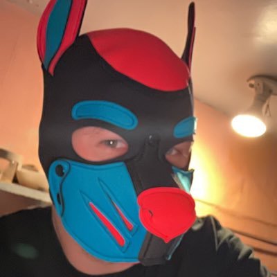 pupcharon's profile picture. boarder collie you never knew you needed - 26 - alpha - verse top - dom - sc: donovanlipari - XXX content