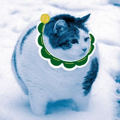 Tuitio11's profile picture. โพนูน่า 🌱🌻🌲 แวะคุยกันได้ค่ะ
#ไม่อนุญาตให้นำคลิ๊ปไปลงที่อื่น!!#ตุ้ยtuitio ⬅️ คลัง Clip ศรัณญ์ 
Youtube : @Tuitio1