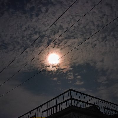 arhan_ibn's profile picture. Med Student..