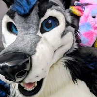 Tibolf the Wolf / RedXIII / Pascal The Elk (@tibolf) 's Twitter Profile Photo Tibolf the Wolf / RedXIII / Pascal The Elk (@tibolf) 's Twitter Profile Photo