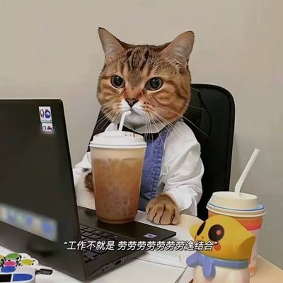 xiaojiu3958's profile picture. 