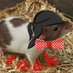 SNAK (@snakfn7) Twitter profile photo SNAK (@snakfn7) Twitter profile photo