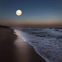 الوحيد 💔🌹 (@mookamooka86327) Twitter profile photo