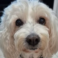 Paula 🏳️🌈 (@korkichi) 's Twitter Profile Photo Paula 🏳️🌈 (@korkichi) 's Twitter Profile Photo