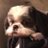 BuckI_Joe's profile image
