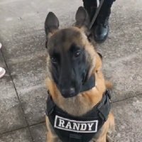 Staticcs (@staticcssol) 's Twitter Profile