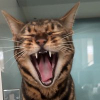 JD (@orientsphincter) 's Twitter Profile Photo JD (@orientsphincter) 's Twitter Profile Photo