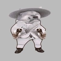 π¦ capleri πΊπ¦ π΅πΈ (@capleri2) 's Twitter Profile