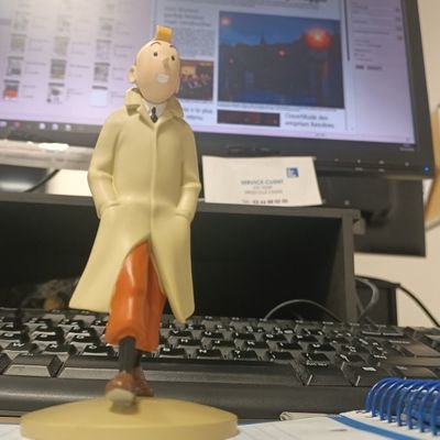Chef d'édition adjoint @lavoixdunord. Pigiste @AFPFR @Sofoot Ex-Calédonien à @lncnc, JRI @BFMGrandlille, @nordlitt, ex @Nice_Matin🗞️
92 🏟️hors France