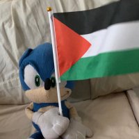 funny boy (@sonic_plushie) 's Twitter Profile