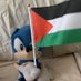 funny boy (@sonic_plushie) Twitter profile photo funny boy (@sonic_plushie) Twitter profile photo