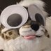 Cardboard Cat 🔜 LVFC, FWA, AC (@carboor_cat69) Twitter profile photo Cardboard Cat 🔜 LVFC, FWA, AC (@carboor_cat69) Twitter profile photo