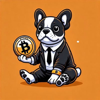 uzidawg03's profile picture. 