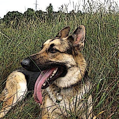 JagVillani's profile picture. I'm not here anymore. Find me on BlueSky: @jagvillani.bsky.social