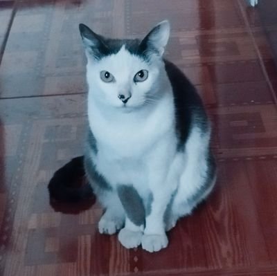 glorianel2's profile picture. Bendecida con mi familia, gracias Dios ⛪💒🐾