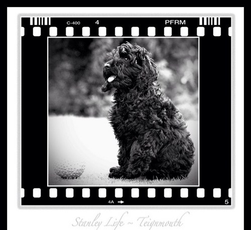 tezshell's profile picture. Retired from Stagecoach UK Bus, passionate about life and people, look after your selves and remember, it’s okay not to be okay...