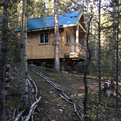 omanwinter1's profile picture. 