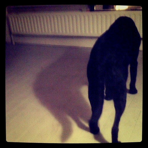 DrSharp3's profile picture. land. water. sky.