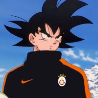 𝓔𝓻𝓱𝓪𝓷¹⁹⁰⁵ 🇳🇬 #OkanBurukİstifa (@gsli_aslan_1905) 's Twitter Profile