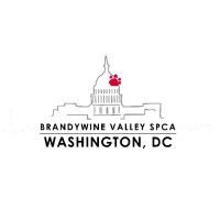 Brandywine Valley SPCA - Washington, DC (@bvspca_dc) 's Twitter Profile Photo Brandywine Valley SPCA - Washington, DC (@bvspca_dc) 's Twitter Profile Photo