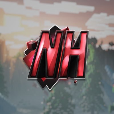 PlayNetherite's profile picture. https://t.co/2QBCdazeDi