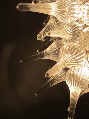 BradenHammond's profile picture. Really Nice Glass!