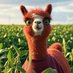 Hendrik Rietman🌾🐮🚜🏡 (@soyshadow) Twitter profile photo Hendrik Rietman🌾🐮🚜🏡 (@soyshadow) Twitter profile photo