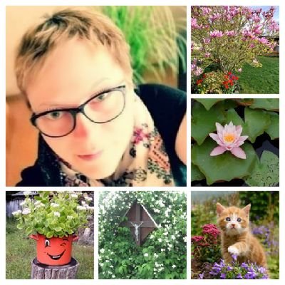 CLAUDI75597260's profile picture. Wenn du schon nicht mit können BEEINDRUCKST😅dann verrwirre mich mit SCHWACHSINN und BLÖDELEI. 🤓🤪