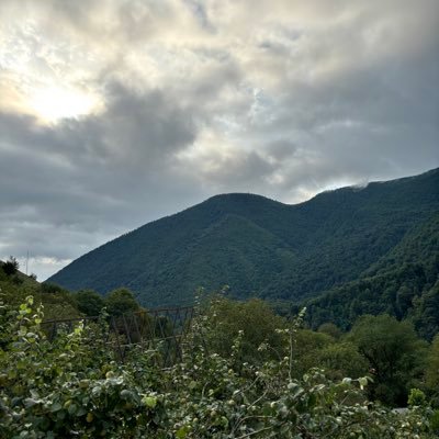 magicbook19's profile picture. 