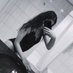 𝙲𝚞𝚝𝚎𓆩♡𓆪𝙺𝚒𝚝𝚝𝚢 (@cat_cup98) Twitter profile photo 𝙲𝚞𝚝𝚎𓆩♡𓆪𝙺𝚒𝚝𝚝𝚢 (@cat_cup98) Twitter profile photo