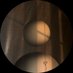 nAn (@nan_iip) Twitter profile photo nAn (@nan_iip) Twitter profile photo