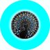⚙️JUSCELINO (LINO) 🌐 (@juscelinofjbs) Twitter profile photo ⚙️JUSCELINO (LINO) 🌐 (@juscelinofjbs) Twitter profile photo
