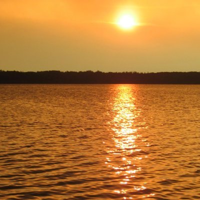 Gal_ivanter's profile picture. 