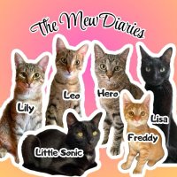 The MewDiaries (@themewdiaries) 's Twitter Profile Photo The MewDiaries (@themewdiaries) 's Twitter Profile Photo