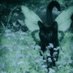 ♡♡♡♡ (@nightmare__494) Twitter profile photo ♡♡♡♡ (@nightmare__494) Twitter profile photo