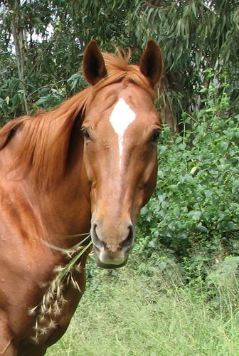 OhSoFearless1's profile picture. 