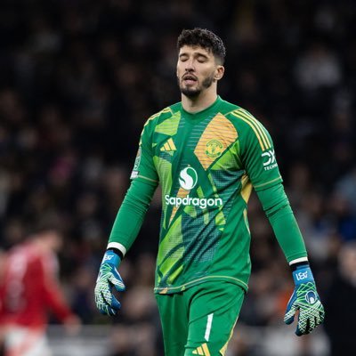 BerglandAas's profile picture. Hovedsaklig Manchester United og SF @SFJNord