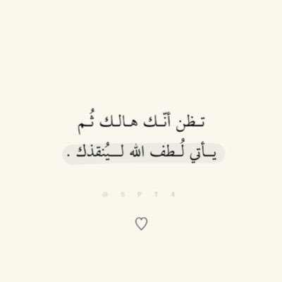 shalkuwarii1's profile picture. 