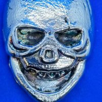 WAYNE🦍🦍🦍 (@wayne120779) 's Twitter Profile Photo