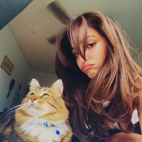 Sibel (@sibelsmi) 's Twitter Profile Photo Sibel (@sibelsmi) 's Twitter Profile Photo