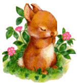 かおりさんのプロフィール画像