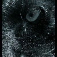 صريح (@mtx989) 's Twitter Profile